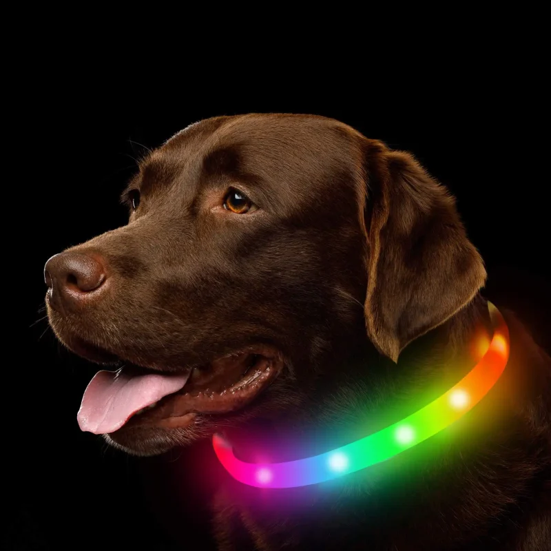 Silicone Led Dog Collar Usb Rechargeable Luminous Dog Collar Anti-Lost/Car Accident Safety Pet Light Collar for Dog Accessories 2