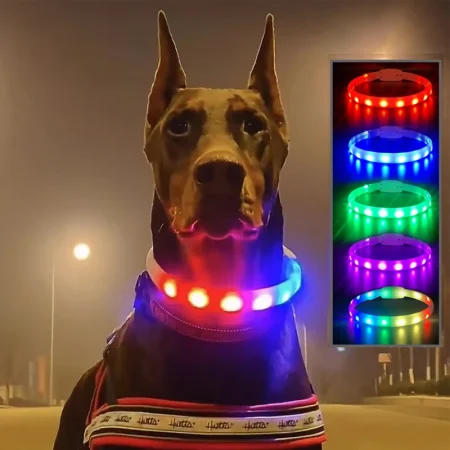 Silicone Led Dog Collar Usb Rechargeable Luminous Dog Collar Anti-Lost/Car Accident Safety Pet Light Collar for Dog Accessories 1