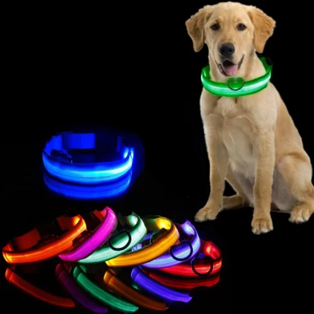 Led Dog Collar Light Anti-lost Collar For Dogs Puppies Night Luminous Supplies Pet Products Accessories USB Charging/Battery 1